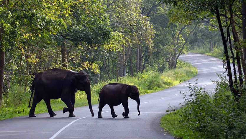 wayanad
